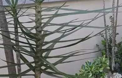 Imagem 8: SOBRADO EM ITAPEMA, COM 02 SUITES, 02 VAGAS, AREA CENTRAL!!!