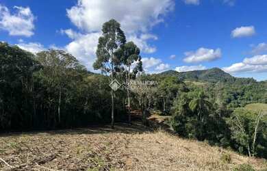 Imagem 6: Área Pinhal Alto- Nova Petrópolis/RS