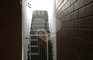 Imagem 11: Sobrado com 3 quartos à venda em Horto Florestal - SP