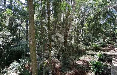 Imagem 7: Terreno a Venda em Canela