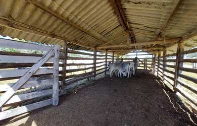 Imagem 10: Imóvel para venda possui 1010000 metros quadrados em Centro - Arinos...