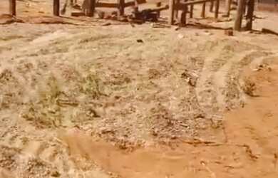 Imagem 6: Vende-se uma excelente fazenda de 1.100 hectares