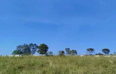 Imagem 6: A M IMOVEIS VENDE EXELENTE FAZENDA COM 180HECTARES EM PARACATU MG