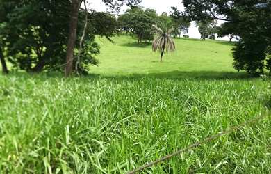 Imagem 3: Alugo Pasto Abadia de Goiás 3 Alqueire com água