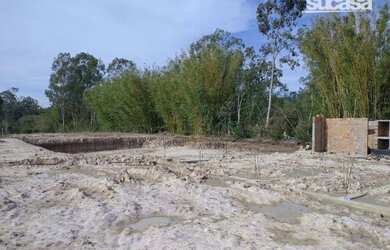 Imagem 6: Sítio à venda, 25000 m² por R$ 214.000,00 - Três Vendas - Pelotas/RS