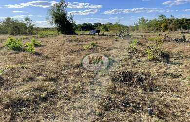 Imagem 6: Fazenda para pecuária ou agricultura na Região de Paraíso -TO