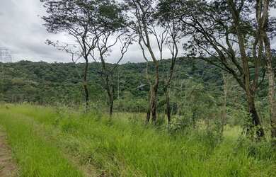 Imagem 1: Bota Fora - Área Rural com 52 Alqueires Região da Fernão Dias