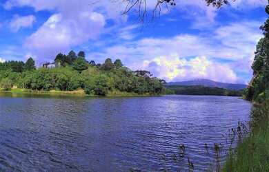 Imagem 8: Área para Venda em Tijucas do Sul, São Joãozinho