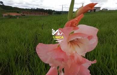 Imagem 6: Terreno em Guararema. 1034 metros quadrados em Guararema - SP