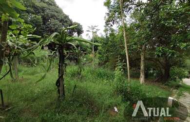 Imagem 9: Terreno aclive a Venda de 1.800m² em Atibaia Jardim Estancia Brasil