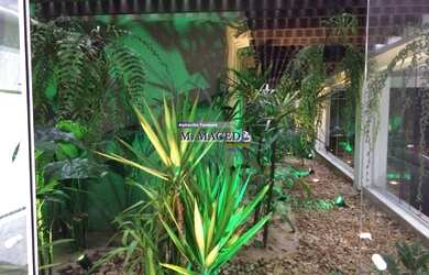 Imagem 7: Alphaville 11 Mansão de esquina maravilhosa