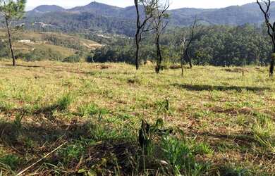 Imagem 11: Lote/Terreno para venda possui 1000 metros quadrados