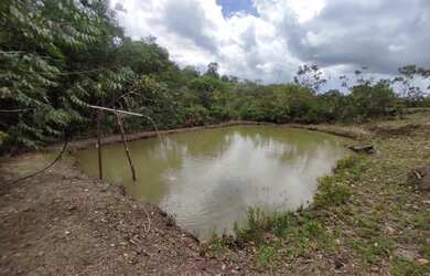 Imagem 2: chacara sítio fazenda. 20.000m² de Área
