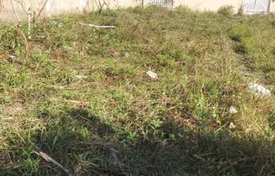 Imagem 3: Terreno em Itaoca praia. 