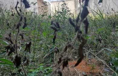 Imagem 2: Lote/Terreno para venda tem 125 metros quadrados em Residencial Jatobá...