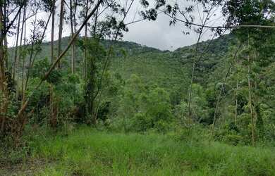 Imagem 9: Bota Fora - Área Rural com 52 Alqueires Região da Fernão Dias