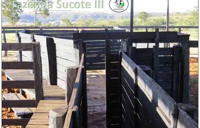 Imagem 12: Fazenda 46 alqueirao com tudo novo Campina Verde-