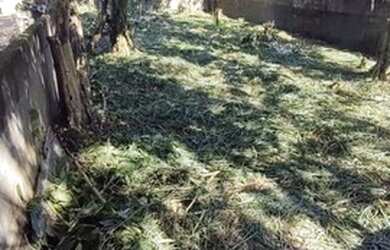 Imagem 4: Lote/Terreno para venda tem 381 metros quadrados em Balneario Maria Helena Novaes - Peruí