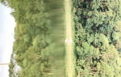 Imagem 14: Venha adquirir seu terreno com acesso a represa!!!