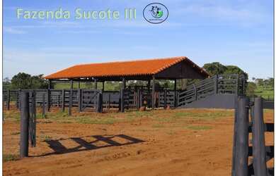 Imagem 7: Fazenda 46 alqueirao com tudo novo Campina Verde-