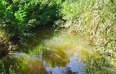 Imagem 9: 2 Chegou a sua hora Linda Chacara no Santa luzia MG