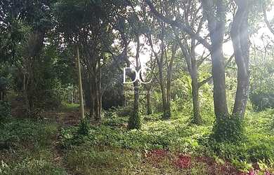 Imagem 6: SITIO RESIDENCIAL em MARICÁ - RJ, PONTA NEGRA PONTA NEGRA