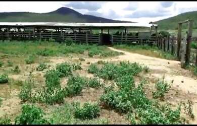 Imagem 8: PROPRIEDADE 5.092 HECTARES FAZENDAS REUNIDAS JP JEQUIÉ BA