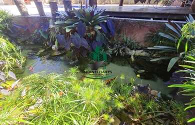 Imagem 10: CHÁCARA LUXUOSA, CONDOMÍNIO ALTO PADRÃO, REPRESA BRAGANGA PAULISTA,...