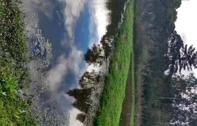 Imagem 2: Linda Chácara - Fazenda Rio Grande