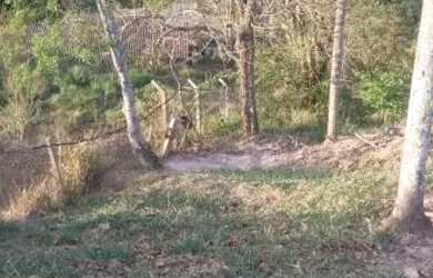 Imagem: O terreno possui 300m² de Área e está localizado em Parque