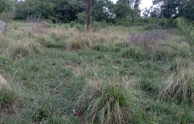 Imagem: A chácara possui 48.000m² de Área e está localizado em