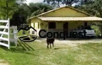 Imagem 7: Linda Fazenda Mista, 12 hectares totalmente aproveitados e produtivos,...