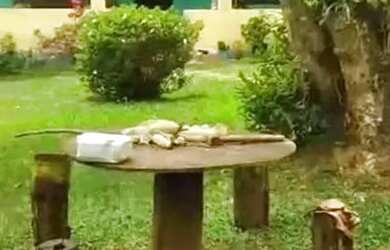 Imagem: A fazenda possui 90.000m² de Área e está localizado em Desterro