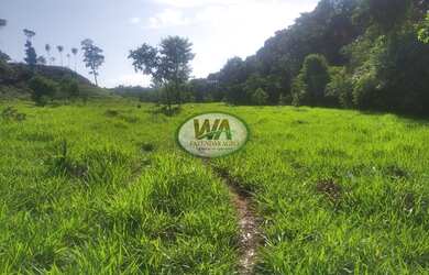 Imagem: A fazenda está localizado em Recursolândia, TO à venda por