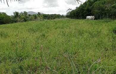 Imagem: A chácara possui 250.000m² de Área e está localizado em