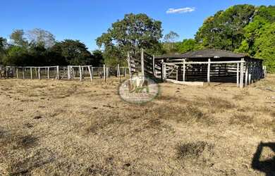 Imagem 1: Fazenda para pecuária ou agricultura na Região de Paraíso -TO