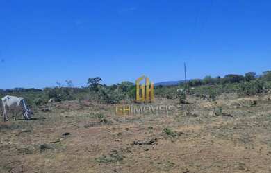 Imagem 3: Fazenda à venda, 561 hectares por R$ 7.000.000 - Zona Rural - São João...