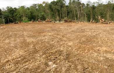 Imagem 16: Terreno com acesso. Piscinae600m² de Área