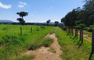 Imagem: A fazenda possui 10m² de Área e está localizado em Funcionários