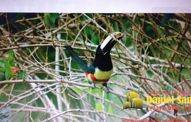 Imagem 6: FAZENDA RURAL em PORTO SEGURO - BA, porto seguro