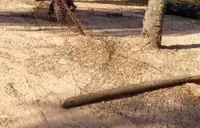 Imagem: O terreno possui 360m² de Área, Imóvel novo e está localizado