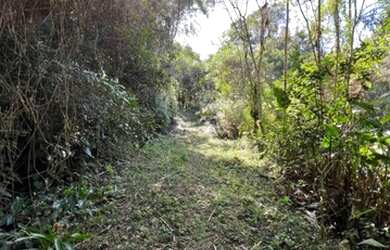 Imagem 6: Juquitiba - Terreno Padrão - Loteamento Parque das Palmeiras II