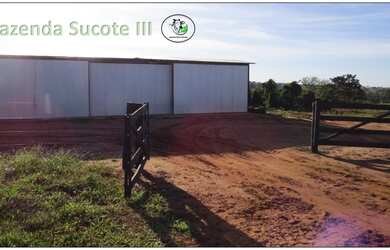 Imagem 16: Fazenda 46 alqueirao com tudo novo Campina Verde-