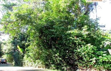 Imagem 4: Terreno à venda, 1220 m² por R$ 2.500.000,00 - Condominio Iporanga -...