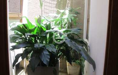 Imagem 4: casa - Betel - Paulínia. Piscina, Churrasqueira, Varandae382m² de Área