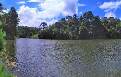 Imagem 6: Área para Venda em Tijucas do Sul, São Joãozinho