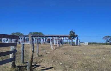 Imagem 9: Fazenda à venda, 561 hectares por R$ 7.100.000 - Zona Rural - São João...