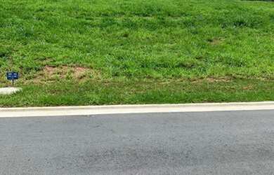 Imagem 5: SENADOR CANEDO - Loteamento/Condomínio - JARDINS BOLONHA