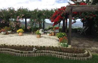 Imagem 11: São Bento do Sapucaí - Sítio - zona rural