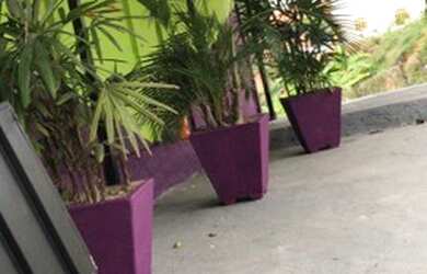 Imagem 4: 2 lojas de Açai ou lanchonete ou caldo de cana ou Doceria